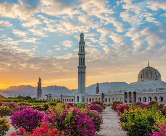 Tour in Oman