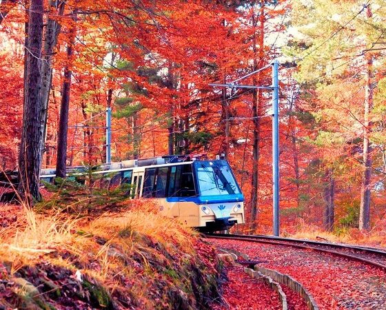 Il treno del Foliage